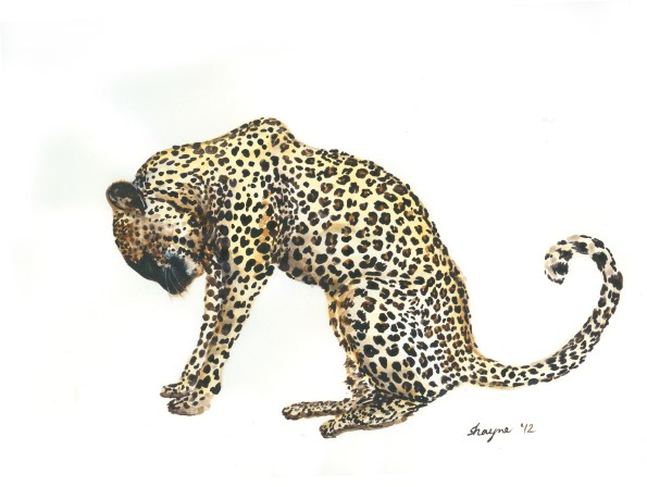 LEOPARD b